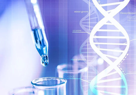 Nucleic Acid Extraction & Purification (Genomic Products)