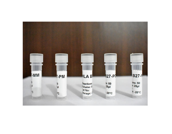 HLA B27 Genotyping Reagents (25  Reactions)