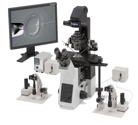 ICSI Microscope With CCD Camera