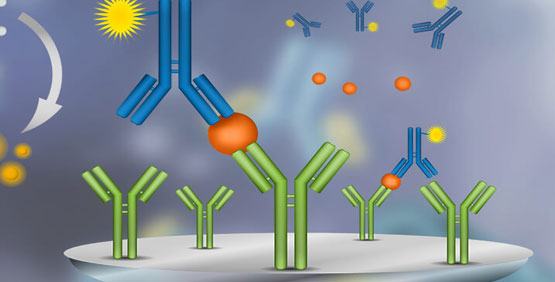 Protein Detection