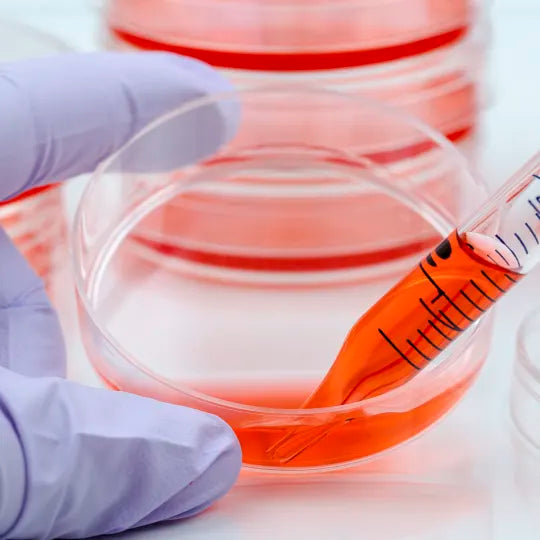 Cell Inlet Isolation Cell Isolation