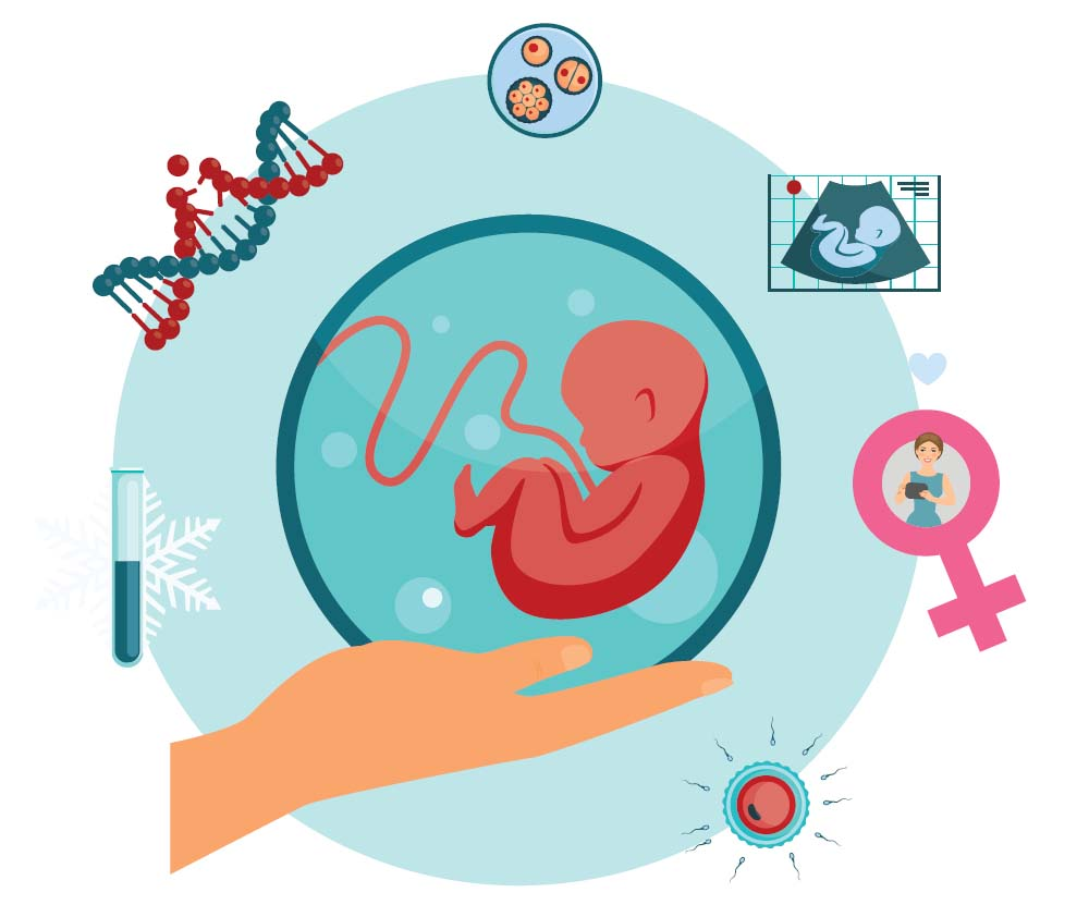 Genetics And Reproduction Example Reproductive Genetics