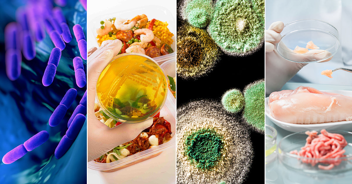 Microbiology