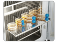 CO₂ Incubator, HCP-80