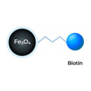 Biotin Magnetic Beads, size 400 nm- 0.5 g/25 ml