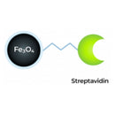 Streptavidin Magnetic Beads, size 400 nm- 50 mg/5 ml, TA-1015-1