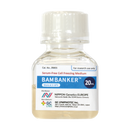 Bambanker, BB03