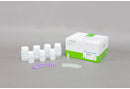 AccuPrep® Plasmid Mini Extraction Kit (200 reactions), K-3030