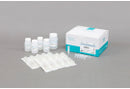MagListo™ 5M Universal RNA Extraction Kit (100 reactions) [K-3613G]