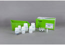 MagListo™ 5M Plasmid Extraction Kit (K-3600)