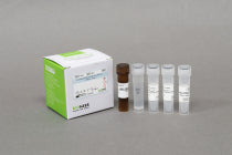 AccuPower® Shrimp Real-Time PCR kit (100 tests per kit)