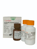 OptiQnt Alkaline Phosphatase Kit, NCC0291050