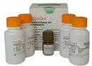 OptiQnt Cholesterol Kit (2 x 50ml), NCC0341100