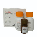 OptiQnt Phosphorus Kit  ( 2 x 25 ml ), NCC0461050