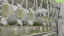 Complete SETIS™ Bioreactor Setup