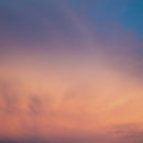 BPL 120/80 B15 Digital BP Monitor