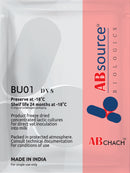 Butter Milk Culture - ABCHACH