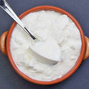 Curd Culture - ABDAHI